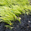 Jardin du Pellinec