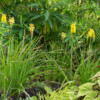 Jardin du Pellinec
