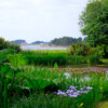 Jardin du Pellinec