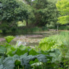Jardin du Pellinec
