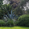 Jardin du Pellinec