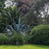 Garden of Le Pellinec
