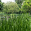 Jardin du Pellinec