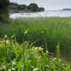 Jardin du Pellinec