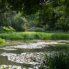 Jardin du Pellinec