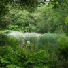 Jardin du Pellinec