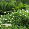 Jardin du Pellinec