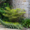 Jardin du Pellinec