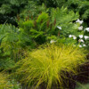 Jardin du Pellinec