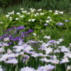 Jardin du Pellinec