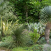 Jardin du Pellinec
