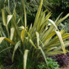 Jardin du Pellinec