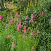 Jardin du Pellinec