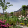 The deep pink of the azalea goes well with the pale pink of the 'Angélique' tulips