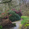 Parc Botanique de Haute Bretagne