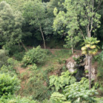 Jardins du Kestellic