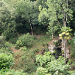 Jardins du Kestellic