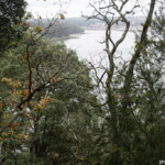 Jardins du Kestellic
