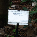 Jardins du Kestellic