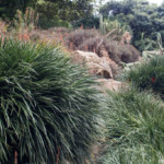 Jardins du Kestellic