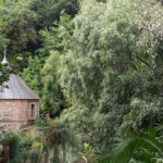 Jardins du Kestellic