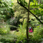 Jardins du Kestellic