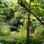 Jardins du Kestellic
