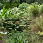 Jardins du Kestellic