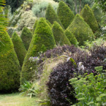 Jardins du Kestellic