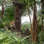 Jardins du Kestellic