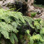 Jardins du Kestellic