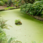 Jardins du Kestellic