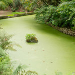 Jardins du Kestellic