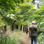 Jardins du Kestellic