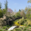 Parc Floral Haute Bretagne avril 2019