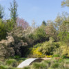 Parc Floral Haute Bretagne April 2019