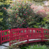Parc Floral Haute Bretagne avril 2019