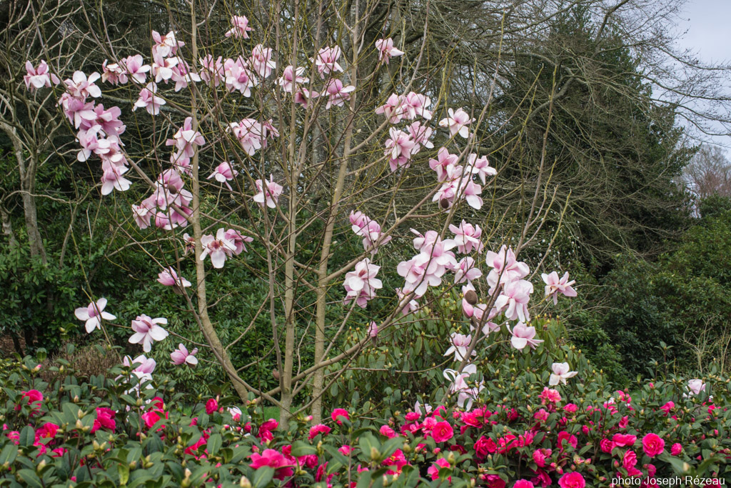 Parc Botanique de Haute Bretagne